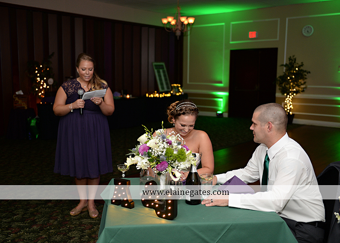 hershey-italian-lodge-wedding-photographer-purple-green-blue-dj-mad-hatter-costco-sublime-cupcakes-shades-of-pink-wedding-paper-divas-bombshell-brides-davids-bridal-vanscoy-maurer-bash-41