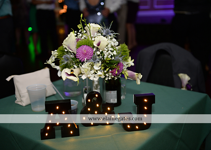 hershey-italian-lodge-wedding-photographer-purple-green-blue-dj-mad-hatter-costco-sublime-cupcakes-shades-of-pink-wedding-paper-divas-bombshell-brides-davids-bridal-vanscoy-maurer-bash-45