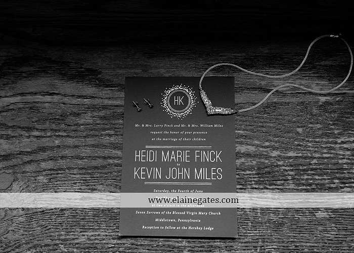 Hershey Lodge wedding photographer central pa couture cakery strawberry shop klock entertainment down street salon david's bridal sarno & son futer brothers 03