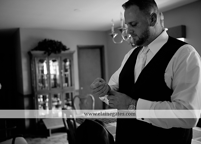 Hershey Lodge wedding photographer central pa couture cakery strawberry shop klock entertainment down street salon david's bridal sarno & son futer brothers 10