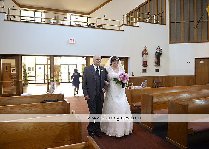 Hershey Lodge wedding photographer central pa couture cakery strawberry shop klock entertainment down street salon david's bridal sarno & son futer brothers 13