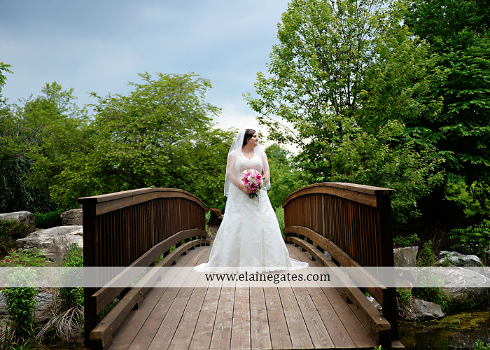 Hershey Lodge wedding photographer central pa couture cakery strawberry shop klock entertainment down street salon david's bridal sarno & son futer brothers 25