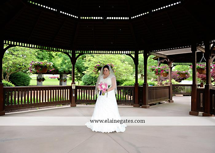 Hershey Lodge wedding photographer central pa couture cakery strawberry shop klock entertainment down street salon david's bridal sarno & son futer brothers 31