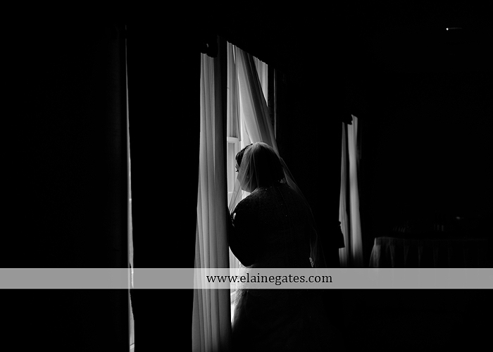 Hershey Lodge wedding photographer central pa couture cakery strawberry shop klock entertainment down street salon david's bridal sarno & son futer brothers 41