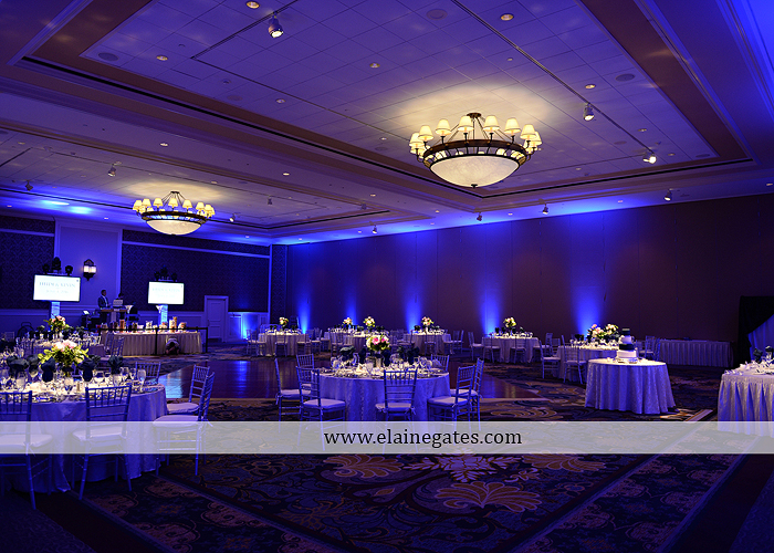 Hershey Lodge wedding photographer central pa couture cakery strawberry shop klock entertainment down street salon david's bridal sarno & son futer brothers 42