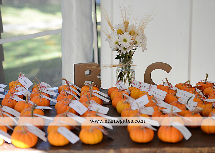 Historic Shady Lane wedding photographer manchester pa fun casual laid back premier catering sweetreats by wendi wegmans expressions by tanya modcloth zales 31