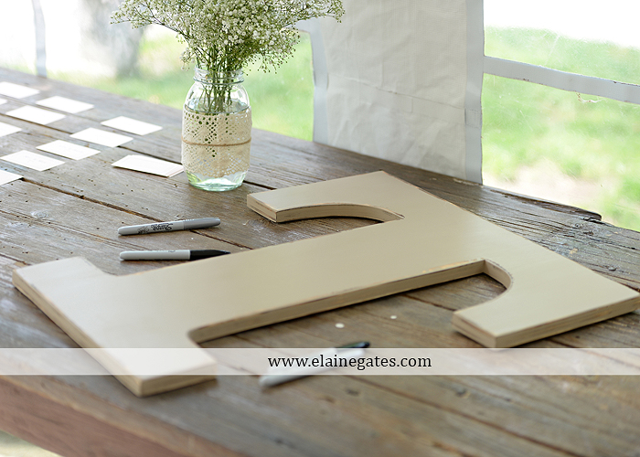 Historic Shady Lane wedding photographer manchester pa pink blue tasteful occasions royers jenny's full service salon taylored for you men's wearhouse mountz jewelers 33