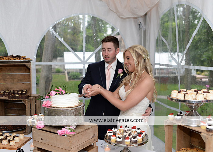 Historic Shady Lane wedding photographer manchester pa pink blue tasteful occasions royers jenny's full service salon taylored for you men's wearhouse mountz jewelers 72