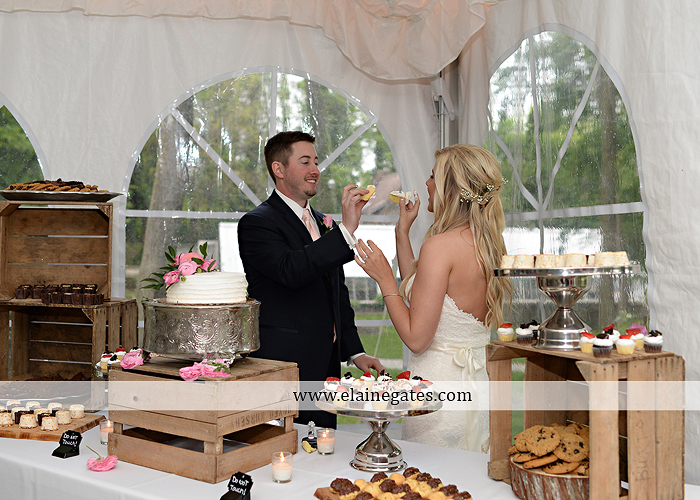 Historic Shady Lane wedding photographer manchester pa pink blue tasteful occasions royers jenny's full service salon taylored for you men's wearhouse mountz jewelers 73