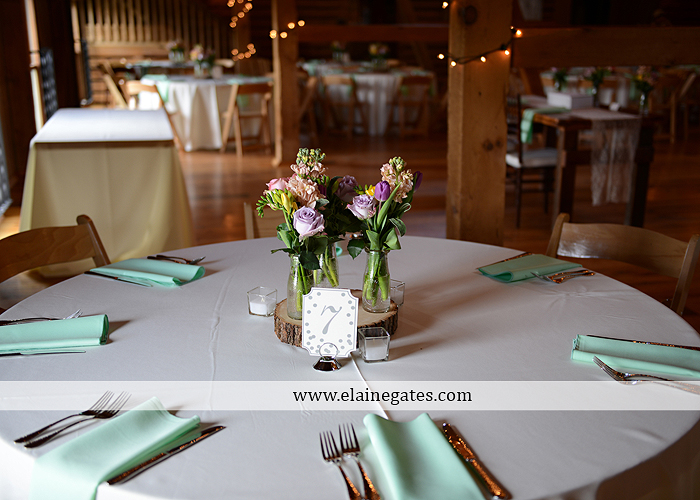 Ironstone Rance wedding photographer Elizabethtown pa gray sea foam st. peter catholic church c&j catering creations with you in mind seven salon cocoa couture koser jewelers 17