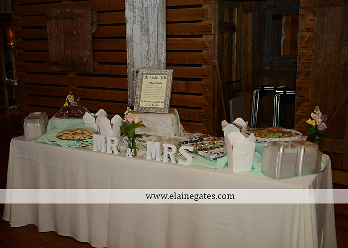 Ironstone Rance wedding photographer Elizabethtown pa gray sea foam st. peter catholic church c&j catering creations with you in mind seven salon cocoa couture koser jewelers 19