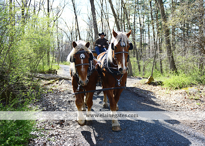 Ironstone Rance wedding photographer Elizabethtown pa gray sea foam st. peter catholic church c&j catering creations with you in mind seven salon cocoa couture koser jewelers 46