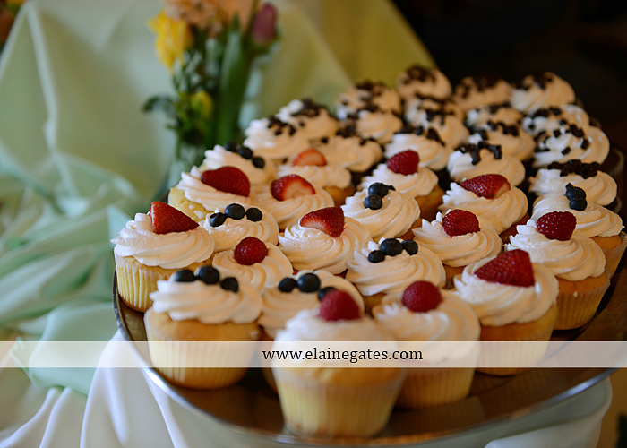 Ironstone Rance wedding photographer Elizabethtown pa gray sea foam st. peter catholic church c&j catering creations with you in mind seven salon cocoa couture koser jewelers 59