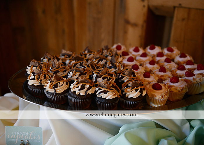 Ironstone Rance wedding photographer Elizabethtown pa gray sea foam st. peter catholic church c&j catering creations with you in mind seven salon cocoa couture koser jewelers 60