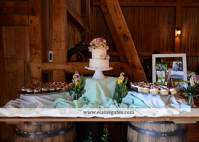 Ironstone Rance wedding photographer Elizabethtown pa gray sea foam st. peter catholic church c&j catering creations with you in mind seven salon cocoa couture koser jewelers 61