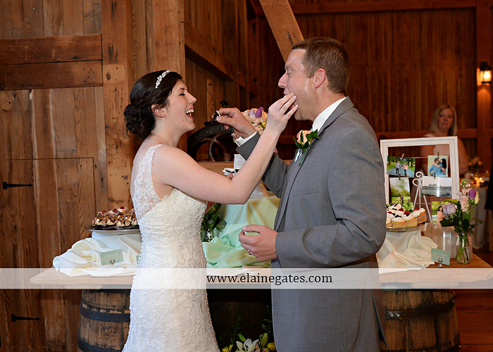 Ironstone Rance wedding photographer Elizabethtown pa gray sea foam st. peter catholic church c&j catering creations with you in mind seven salon cocoa couture koser jewelers 68