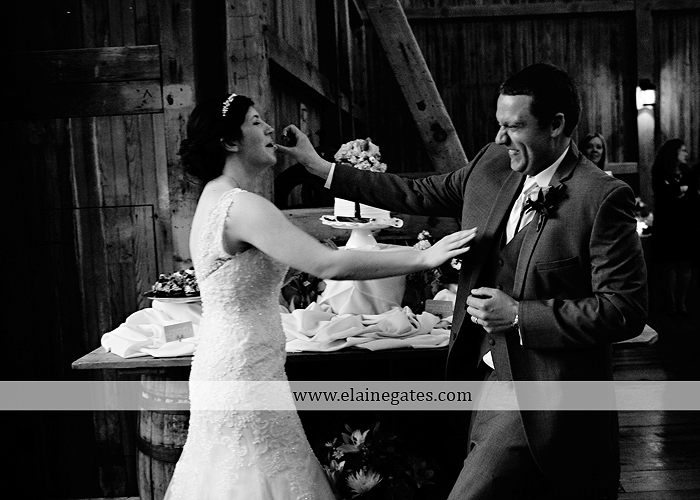 Ironstone Rance wedding photographer Elizabethtown pa gray sea foam st. peter catholic church c&j catering creations with you in mind seven salon cocoa couture koser jewelers 69