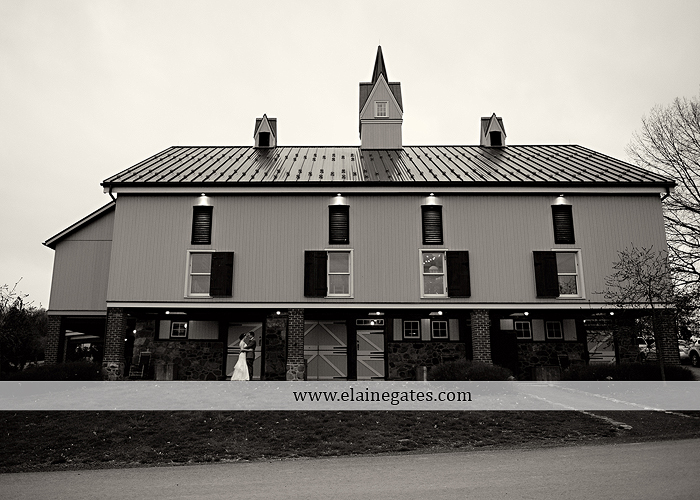 Ironstone Rance wedding photographer Elizabethtown pa gray sea foam st. peter catholic church c&j catering creations with you in mind seven salon cocoa couture koser jewelers 70
