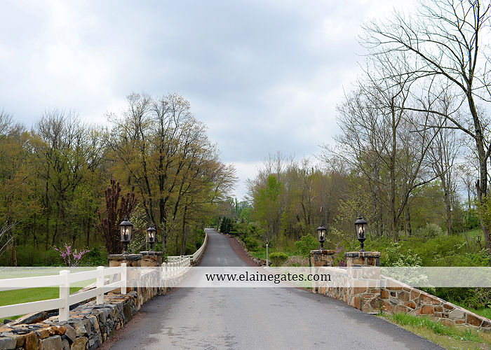 Ironstone Rance wedding photographer Elizabethtown pa pink yellow C&J Catering Complete Entertainment David's Bridal Strictly Formals Mountz Jewelers 01