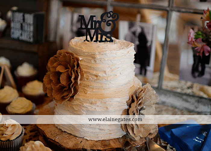 Ironstone Rance wedding photographer Elizabethtown pa pink yellow C&J Catering Complete Entertainment David's Bridal Strictly Formals Mountz Jewelers 04