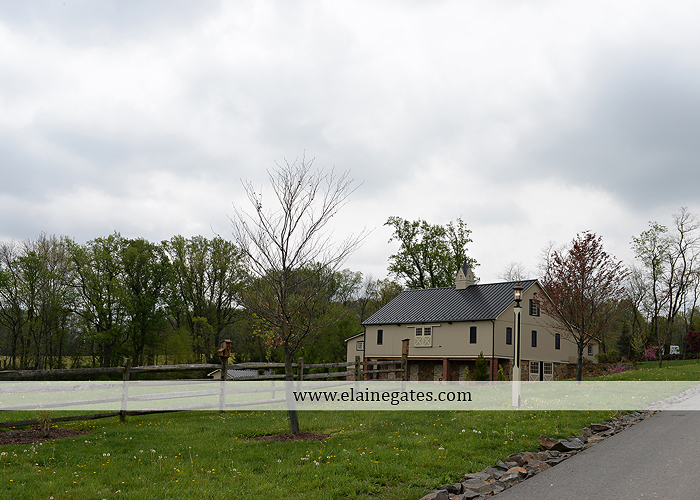 Ironstone Rance wedding photographer Elizabethtown pa pink yellow C&J Catering Complete Entertainment David's Bridal Strictly Formals Mountz Jewelers 08