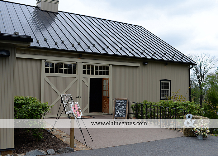 Ironstone Rance wedding photographer Elizabethtown pa pink yellow C&J Catering Complete Entertainment David's Bridal Strictly Formals Mountz Jewelers 12