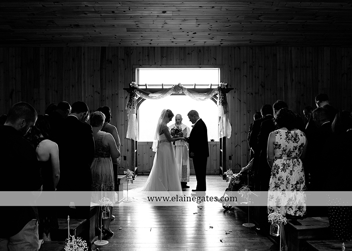 Ironstone Rance wedding photographer Elizabethtown pa pink yellow C&J Catering Complete Entertainment David's Bridal Strictly Formals Mountz Jewelers 25