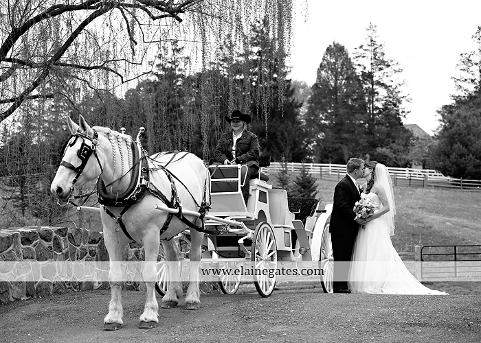 Ironstone Rance wedding photographer Elizabethtown pa pink yellow C&J Catering Complete Entertainment David's Bridal Strictly Formals Mountz Jewelers 33