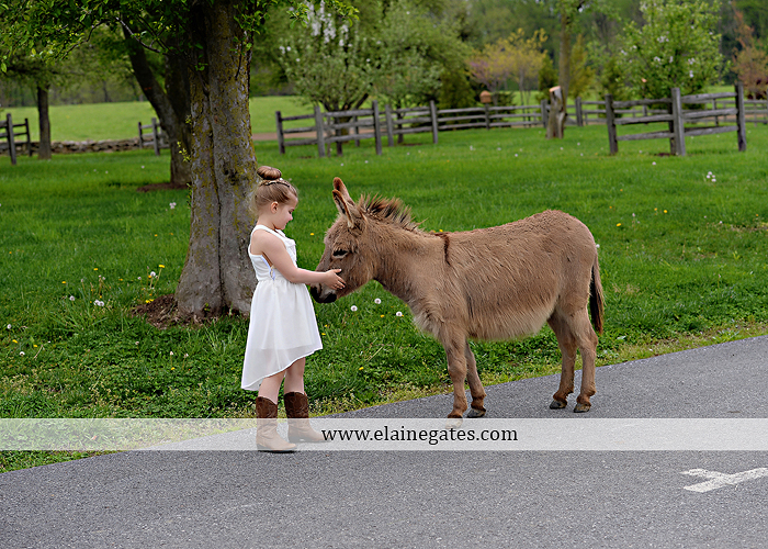 Ironstone Rance wedding photographer Elizabethtown pa pink yellow C&J Catering Complete Entertainment David's Bridal Strictly Formals Mountz Jewelers 50