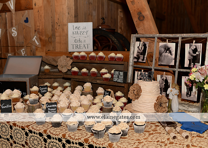 Ironstone Rance wedding photographer Elizabethtown pa pink yellow C&J Catering Complete Entertainment David's Bridal Strictly Formals Mountz Jewelers 51