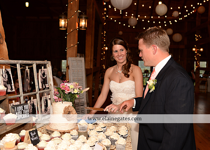 Ironstone Rance wedding photographer Elizabethtown pa pink yellow C&J Catering Complete Entertainment David's Bridal Strictly Formals Mountz Jewelers 57