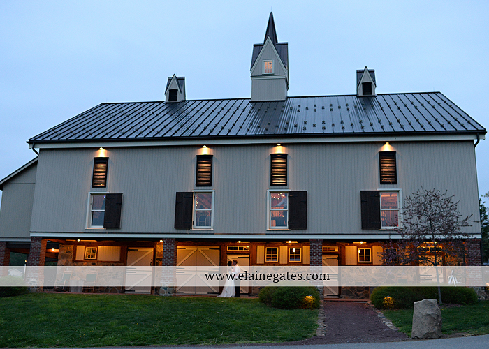 Ironstone Rance wedding photographer Elizabethtown pa pink yellow C&J Catering Complete Entertainment David's Bridal Strictly Formals Mountz Jewelers 58