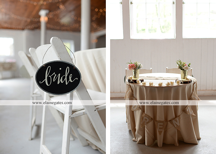 Lauxmont Farms wedding photographer Cobblestone Courtyard Wrightsville pa pink B&B Light and Sound Dickey's Aulestia David's Bridal Men's Wearhouse roman jewelers gordon's 02