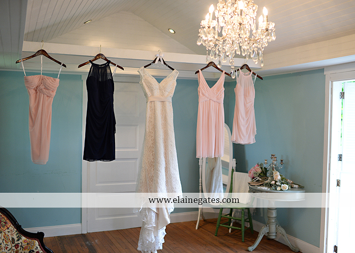 Lauxmont Farms wedding photographer Cobblestone Courtyard Wrightsville pa pink B&B Light and Sound Dickey's Aulestia David's Bridal Men's Wearhouse roman jewelers gordon's 08