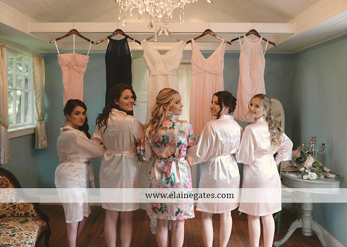 Lauxmont Farms wedding photographer Cobblestone Courtyard Wrightsville pa pink B&B Light and Sound Dickey's Aulestia David's Bridal Men's Wearhouse roman jewelers gordon's 10