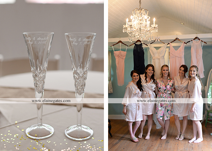 Lauxmont Farms wedding photographer Cobblestone Courtyard Wrightsville pa pink B&B Light and Sound Dickey's Aulestia David's Bridal Men's Wearhouse roman jewelers gordon's 11