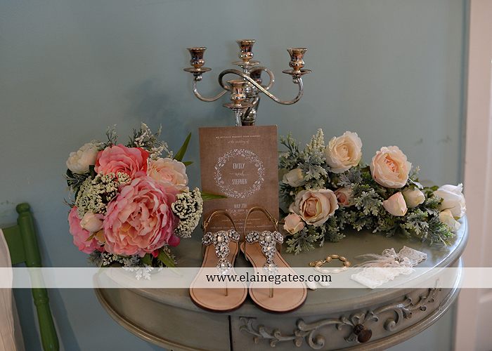 Lauxmont Farms wedding photographer Cobblestone Courtyard Wrightsville pa pink B&B Light and Sound Dickey's Aulestia David's Bridal Men's Wearhouse roman jewelers gordon's 12