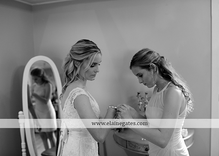 Lauxmont Farms wedding photographer Cobblestone Courtyard Wrightsville pa pink B&B Light and Sound Dickey's Aulestia David's Bridal Men's Wearhouse roman jewelers gordon's 16