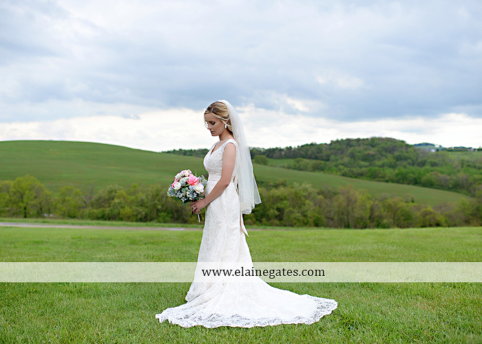 Lauxmont Farms wedding photographer Cobblestone Courtyard Wrightsville pa pink B&B Light and Sound Dickey's Aulestia David's Bridal Men's Wearhouse roman jewelers gordon's 19