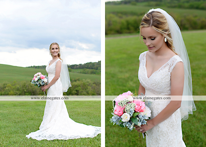 Lauxmont Farms wedding photographer Cobblestone Courtyard Wrightsville pa pink B&B Light and Sound Dickey's Aulestia David's Bridal Men's Wearhouse roman jewelers gordon's 20