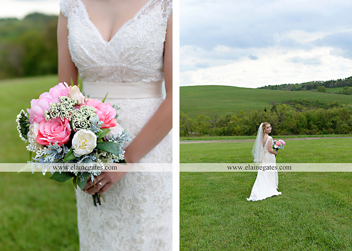 Lauxmont Farms wedding photographer Cobblestone Courtyard Wrightsville pa pink B&B Light and Sound Dickey's Aulestia David's Bridal Men's Wearhouse roman jewelers gordon's 21