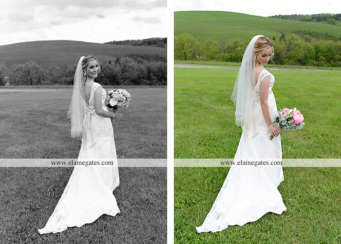 Lauxmont Farms wedding photographer Cobblestone Courtyard Wrightsville pa pink B&B Light and Sound Dickey's Aulestia David's Bridal Men's Wearhouse roman jewelers gordon's 24