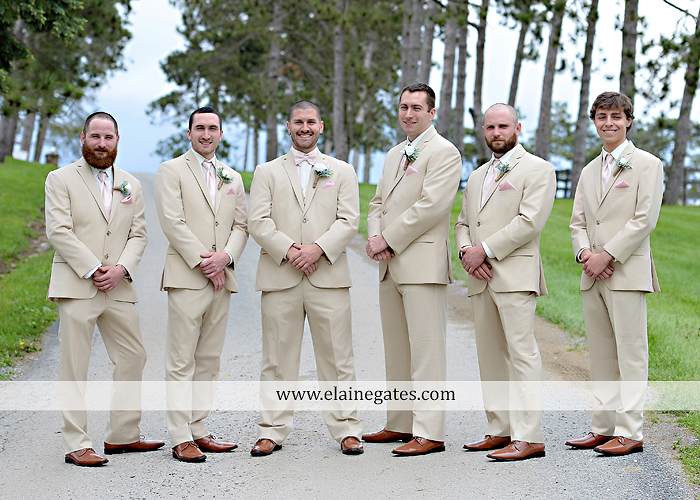 Lauxmont Farms wedding photographer Cobblestone Courtyard Wrightsville pa pink B&B Light and Sound Dickey's Aulestia David's Bridal Men's Wearhouse roman jewelers gordon's 28