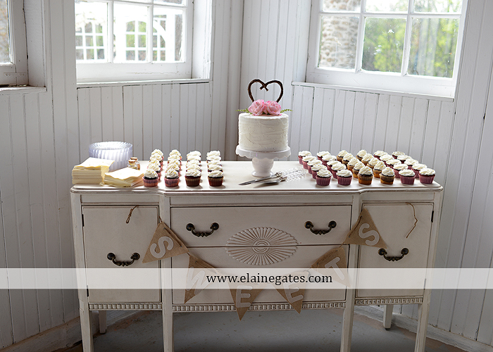 Lauxmont Farms wedding photographer Cobblestone Courtyard Wrightsville pa pink B&B Light and Sound Dickey's Aulestia David's Bridal Men's Wearhouse roman jewelers gordon's 30