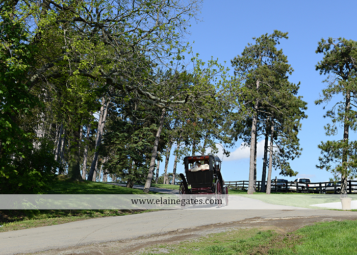 Lauxmont Farms wedding photographer Cobblestone Courtyard Wrightsville pa pink B&B Light and Sound Dickey's Aulestia David's Bridal Men's Wearhouse roman jewelers gordon's 38