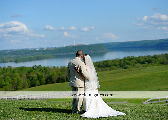 Lauxmont Farms wedding photographer Cobblestone Courtyard Wrightsville pa pink B&B Light and Sound Dickey's Aulestia David's Bridal Men's Wearhouse roman jewelers gordon's 39