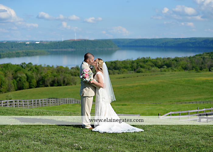 Lauxmont Farms wedding photographer Cobblestone Courtyard Wrightsville pa pink B&B Light and Sound Dickey's Aulestia David's Bridal Men's Wearhouse roman jewelers gordon's 40