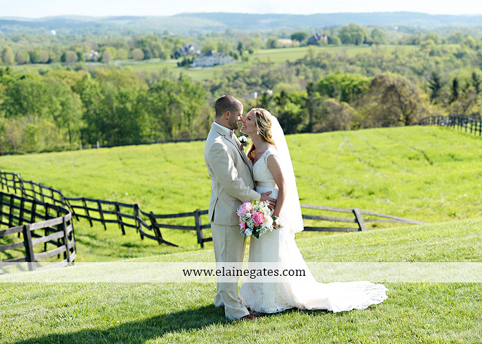 Lauxmont Farms wedding photographer Cobblestone Courtyard Wrightsville pa pink B&B Light and Sound Dickey's Aulestia David's Bridal Men's Wearhouse roman jewelers gordon's 41