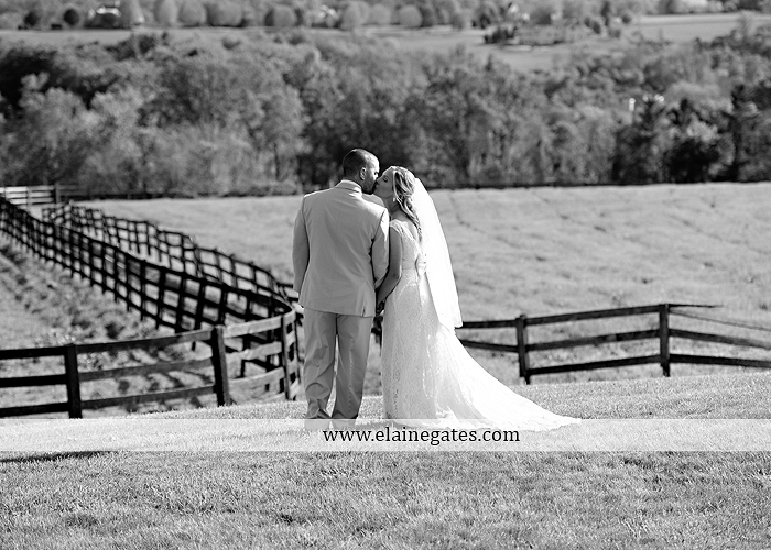 Lauxmont Farms wedding photographer Cobblestone Courtyard Wrightsville pa pink B&B Light and Sound Dickey's Aulestia David's Bridal Men's Wearhouse roman jewelers gordon's 43