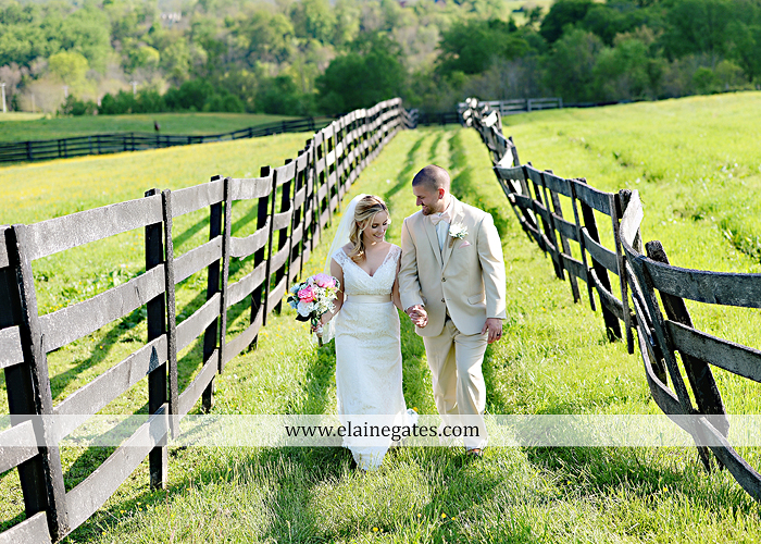 Lauxmont Farms wedding photographer Cobblestone Courtyard Wrightsville pa pink B&B Light and Sound Dickey's Aulestia David's Bridal Men's Wearhouse roman jewelers gordon's 47
